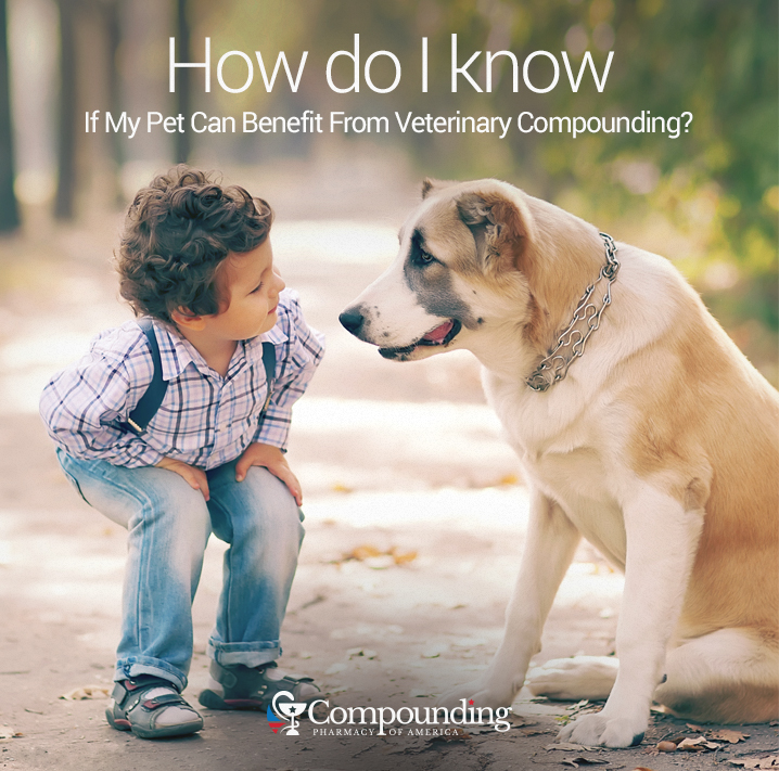 How Can I Know If My Pet Can Benefit From Veterinary Compounding - CPA