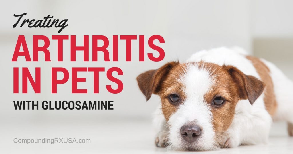 Using Glucosamine To Treat Your Pet's Osteoarthritis(Arthritis)