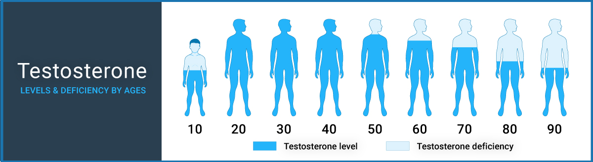 Testosterone Changes Chart