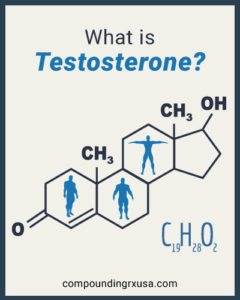 What is Testosterone?