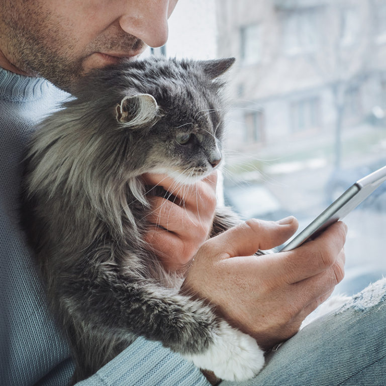 Pet Compounding Creates Custom Medicine for Your Animals