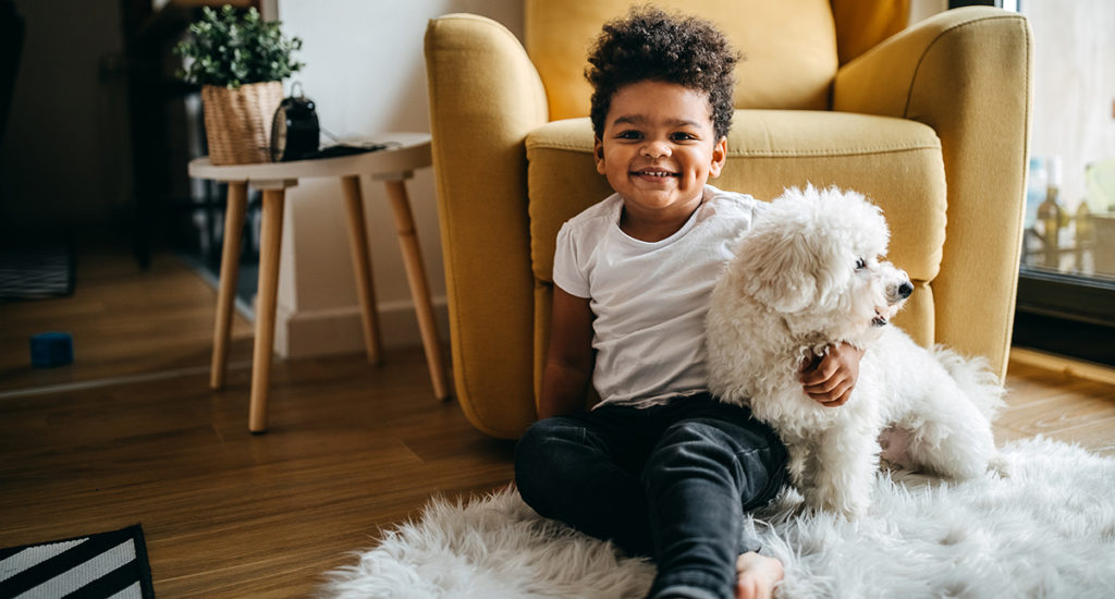 Answering Your Questions About Compounding Medications for Pets