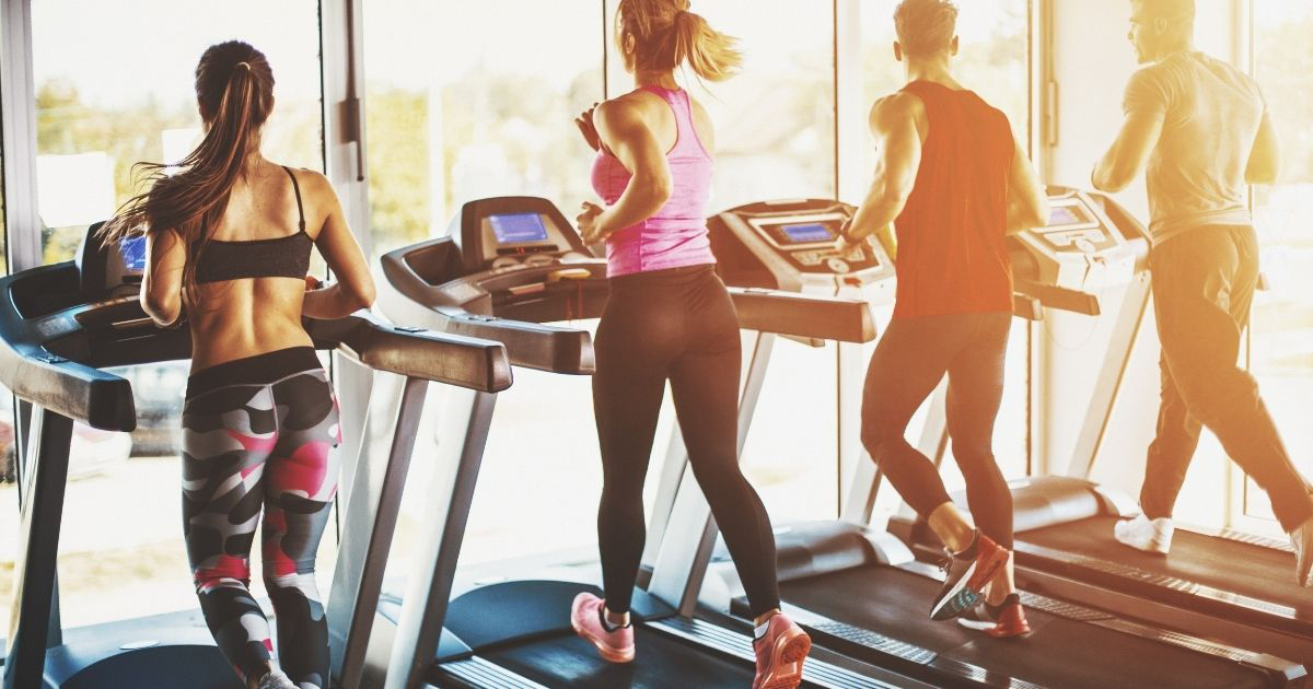 How Does Epigallocatechin Gallate Help Your Body Burn Fat