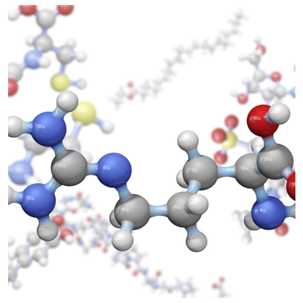 long chains of amino acids