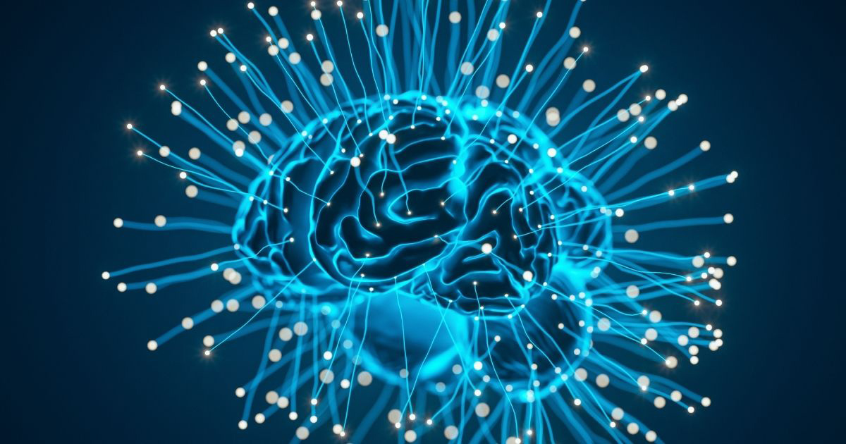 Working Memory