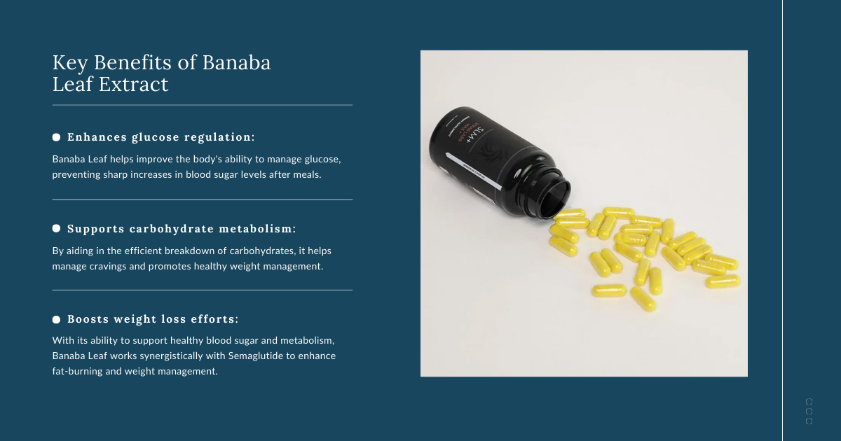 Key Benefits of Banaba Leaf Extract