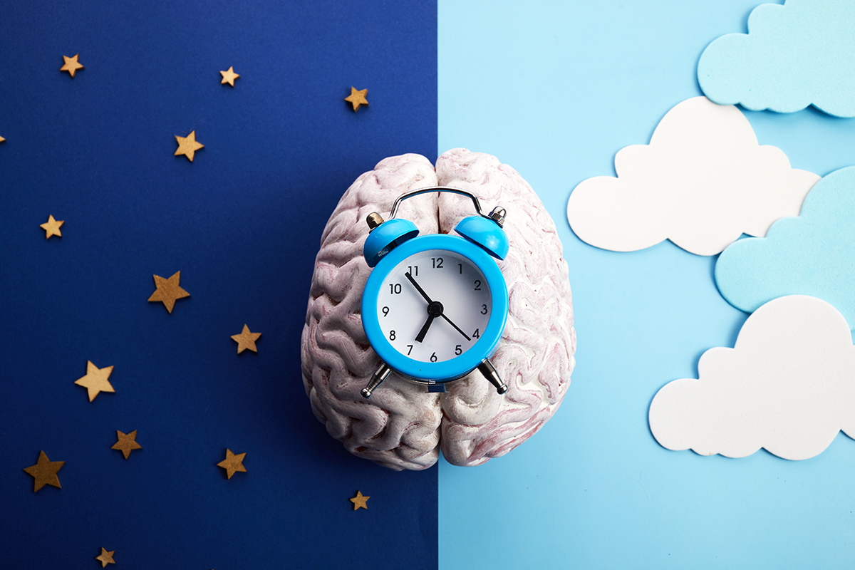 circadian rhythms