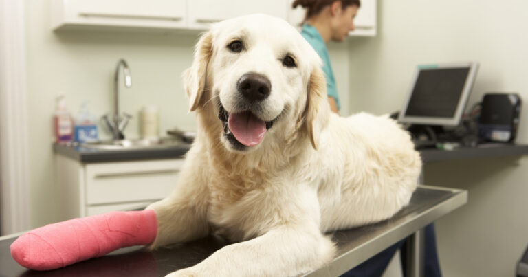 5 Reasons to Use a Compounding Pharmacy | Personalized Medication Solutions