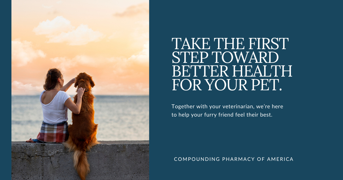 Allergy Relief Tailored to Your Dog’s Needs