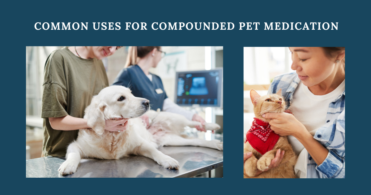 Common Uses for Compounded Pet Medication