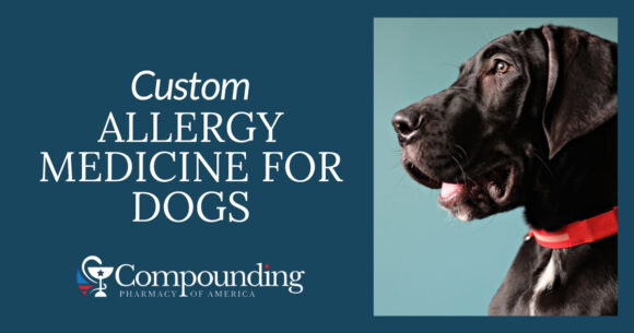 Custom Allergy Medicine for Dogs
