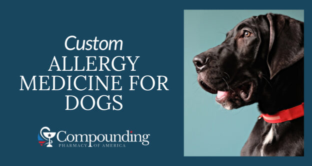 Custom Allergy Medicine for Dogs